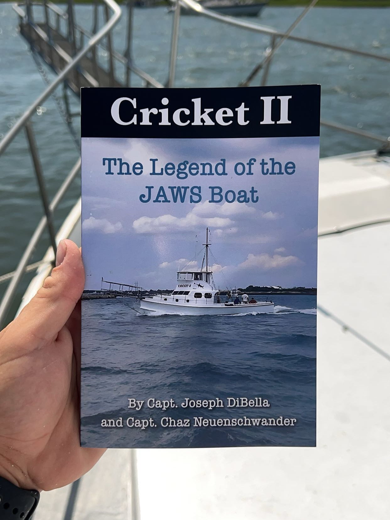 Cricket II Book